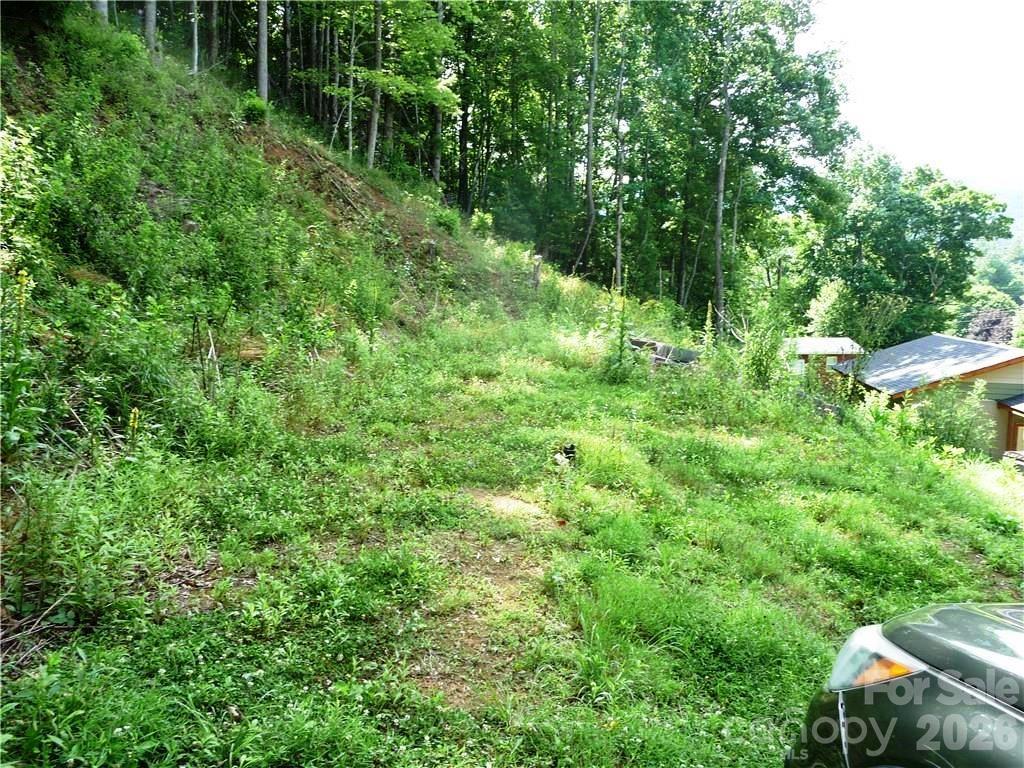 Lot at 870 Bairds Creek Road, Vilas