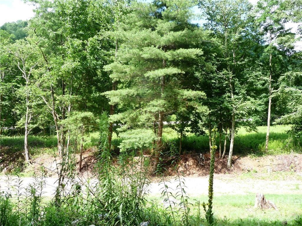 Lot at 870 Bairds Creek Road, Vilas, photo 7 of 14