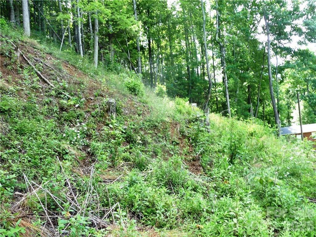 Lot at 870 Bairds Creek Road, Vilas, photo 8 of 14