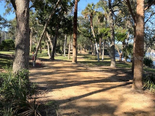 Land at 74 LONGVIEW WAY N, PALM COAST, photo 11 of 37