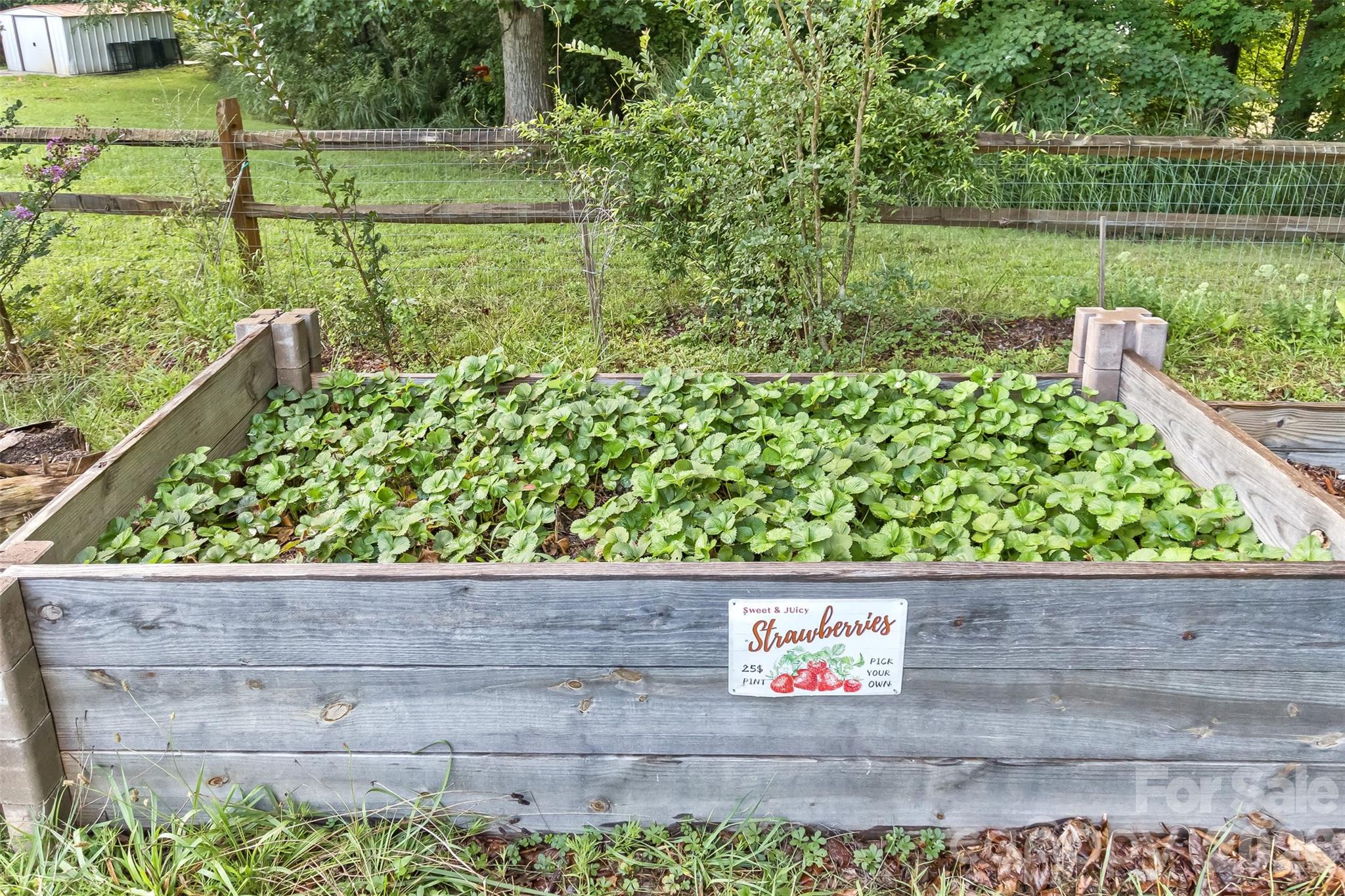 Raised bed in the garden for fruits or veggies - 25 Asa Court, Black Mountain