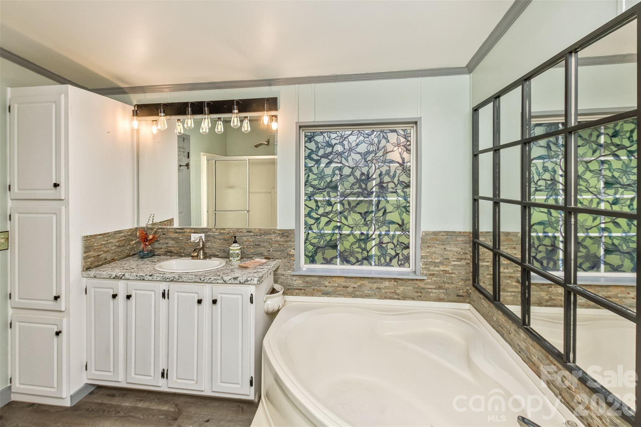 Primary bath with view of vanity and cabinets - 25 Asa Court, Black Mountain