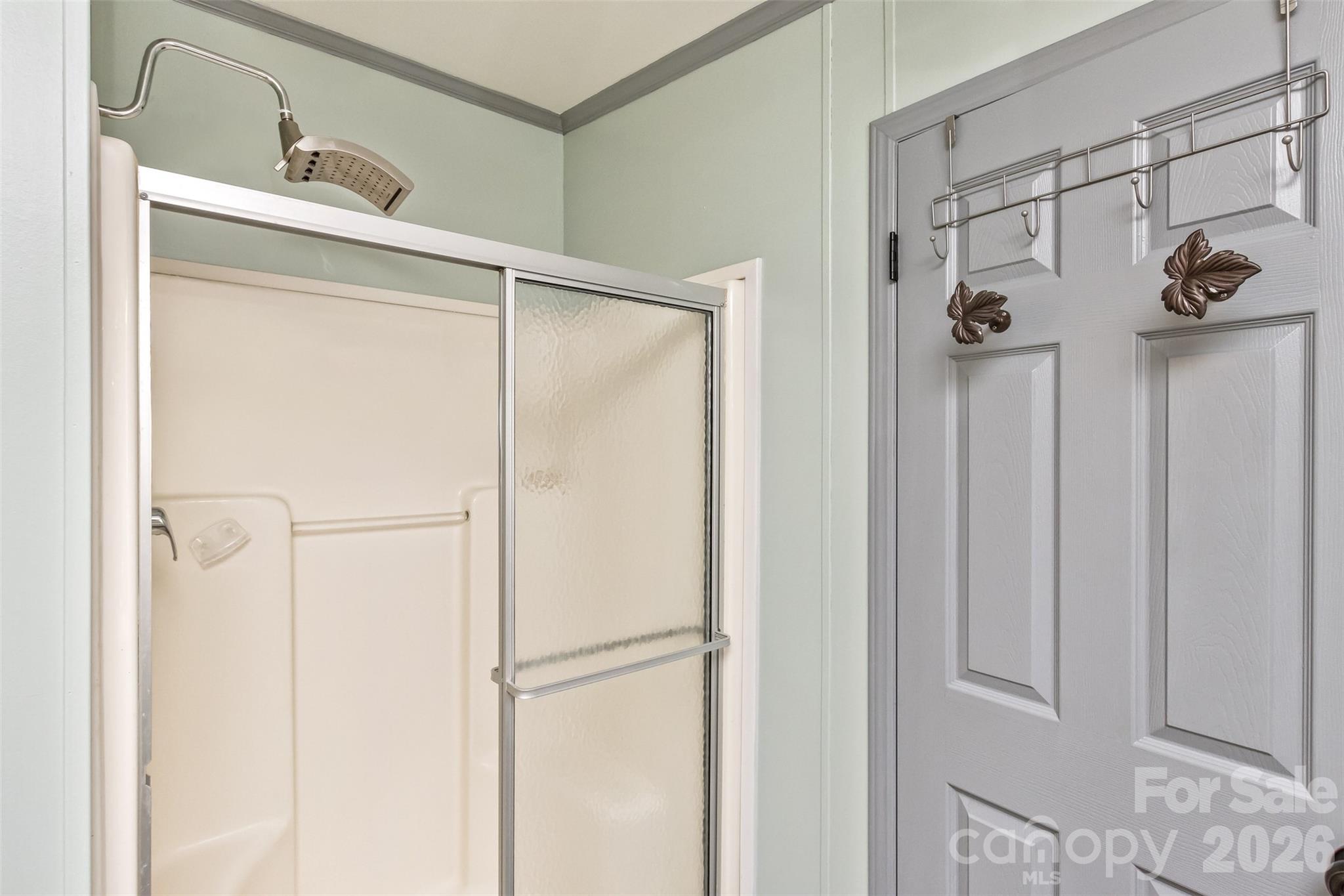 Primary bath walk-in shower - 25 Asa Court, Black Mountain
