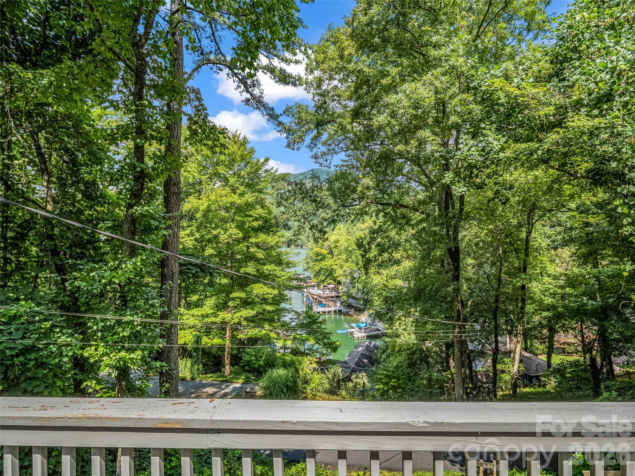 Single Family Residence at 239 Havnaers Point, Lake Lure, photo 32 of 43
