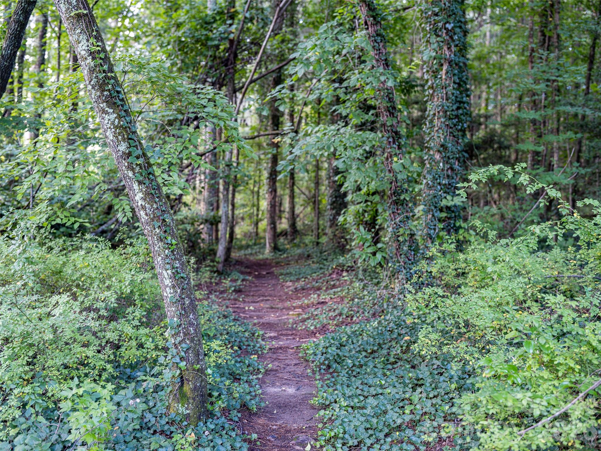 Trail to Flat Rock Playhouse - 102 Boyd Drive, Flat Rock