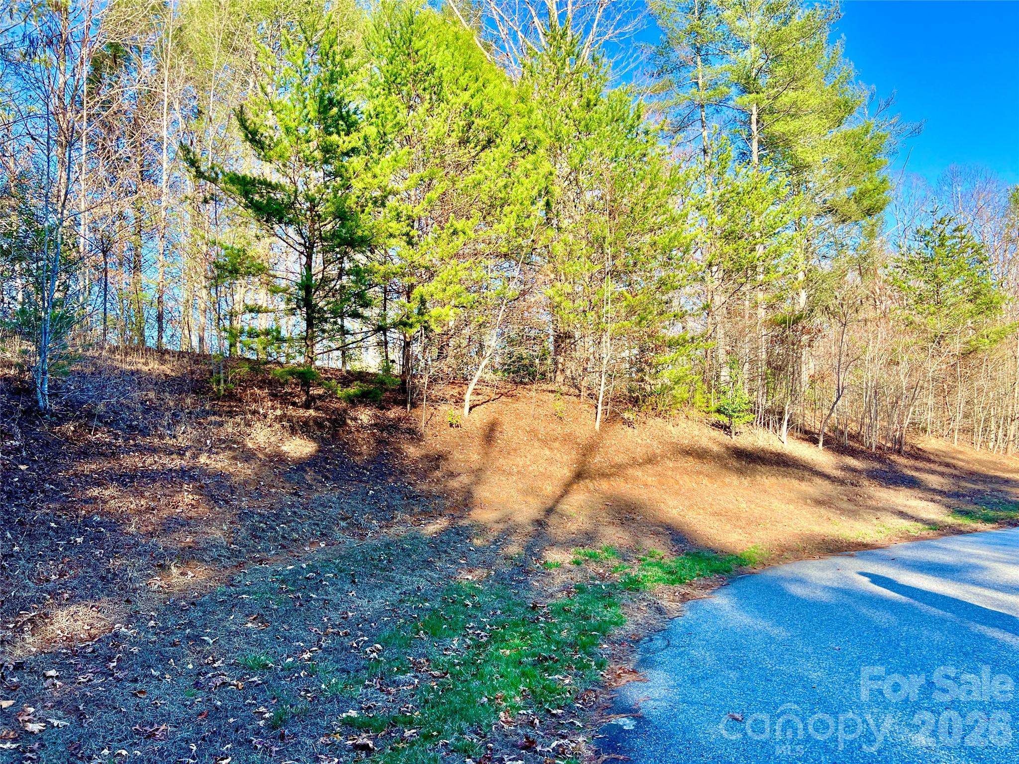 Lot at Lot 126 & Lot 127A Sunset Creek Lane, Lenoir, photo 5 of 48