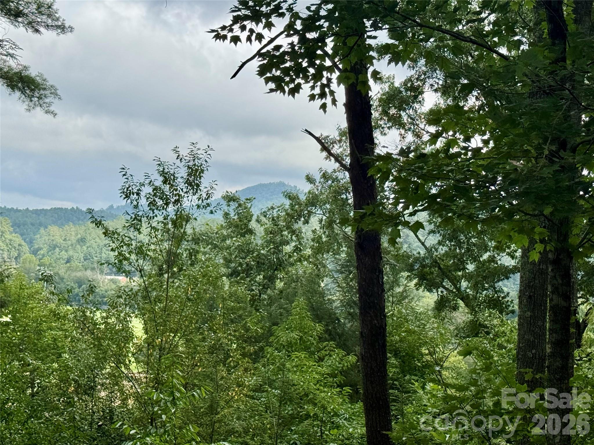 Lot at Lot 126 & Lot 127A Sunset Creek Lane, Lenoir, photo 7 of 48
