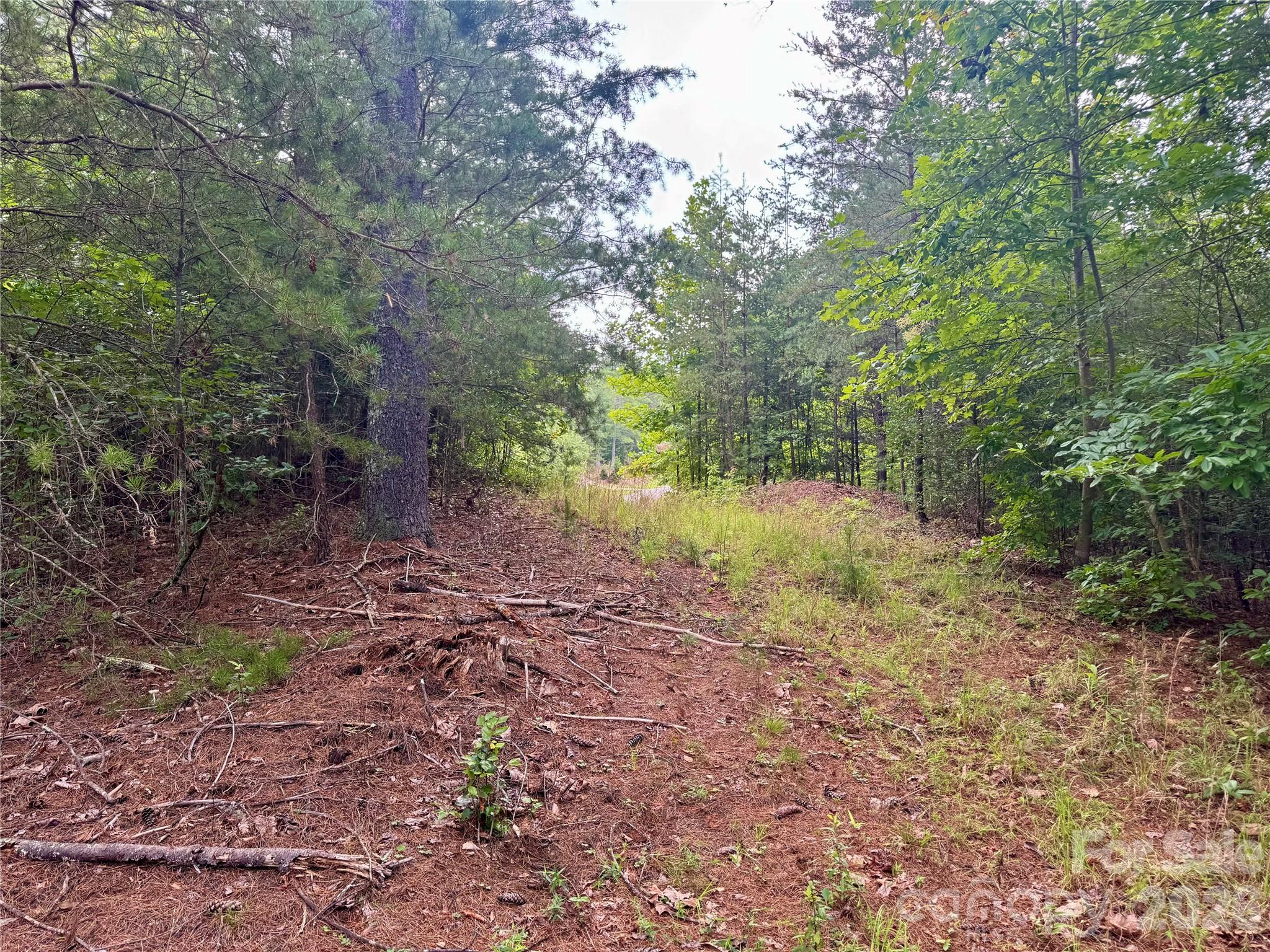 Lot at Lot 126 & Lot 127A Sunset Creek Lane, Lenoir, photo 8 of 48