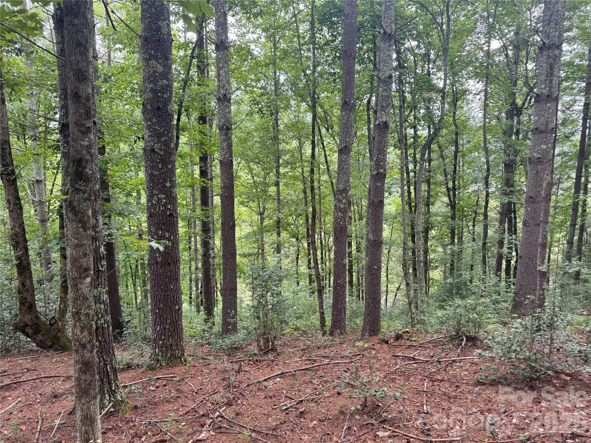 Lot at Lot 126 & Lot 127A Sunset Creek Lane, Lenoir, photo 9 of 48