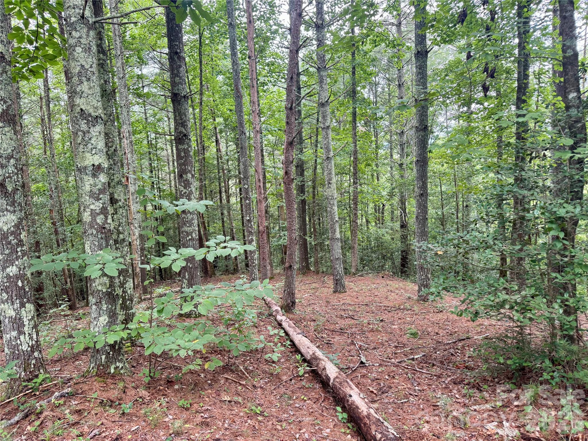 Lot at Lot 126 & Lot 127A Sunset Creek Lane, Lenoir, photo 10 of 48