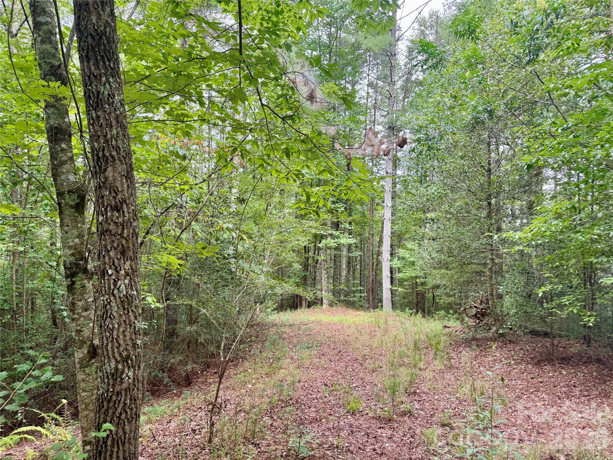Lot at Lot 126 & Lot 127A Sunset Creek Lane, Lenoir, photo 11 of 48