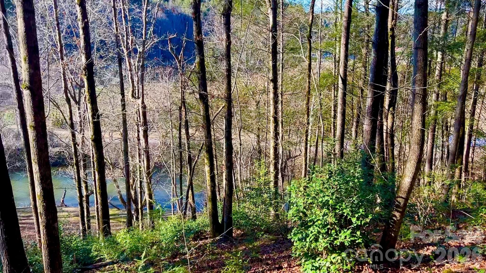 Lot at Lot 126 & Lot 127A Sunset Creek Lane, Lenoir, photo 13 of 48