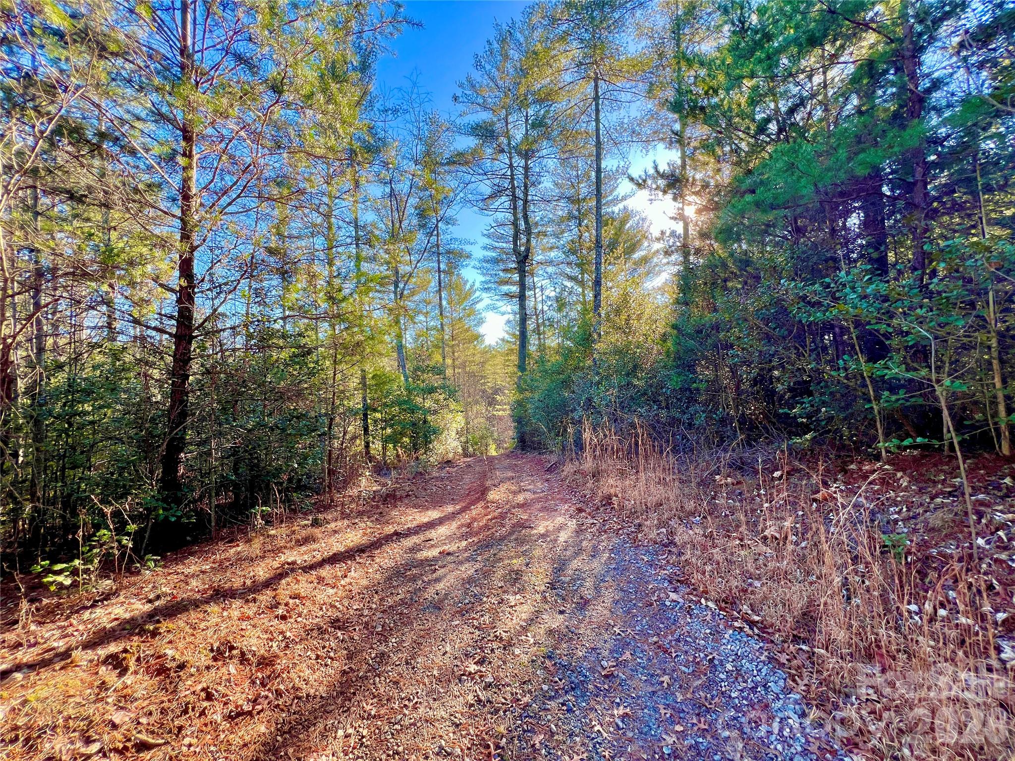 Lot at Lot 126 & Lot 127A Sunset Creek Lane, Lenoir, photo 14 of 48