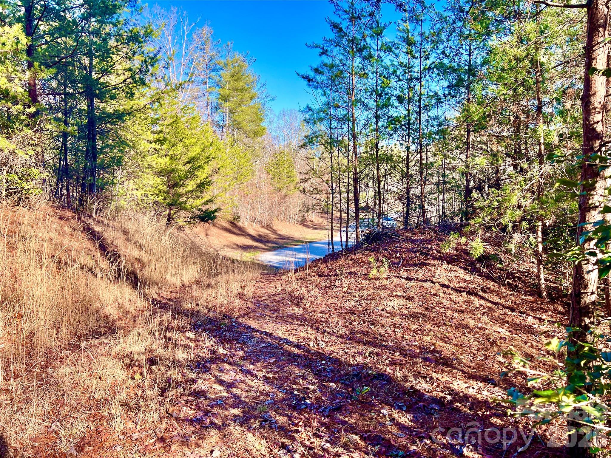 Lot at Lot 126 & Lot 127A Sunset Creek Lane, Lenoir, photo 17 of 48