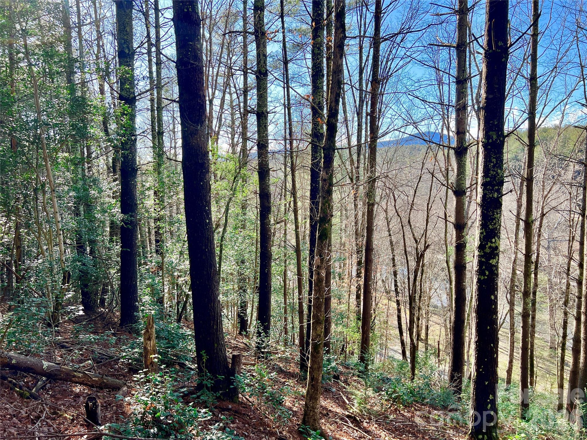 Lot at Lot 126 & Lot 127A Sunset Creek Lane, Lenoir, photo 18 of 48