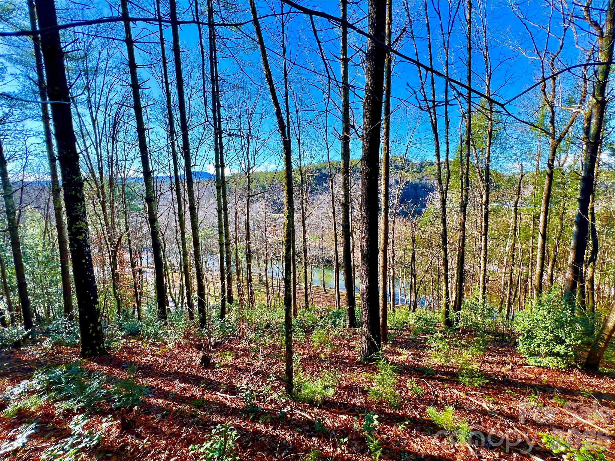 Lot at Lot 126 & Lot 127A Sunset Creek Lane, Lenoir, photo 19 of 48