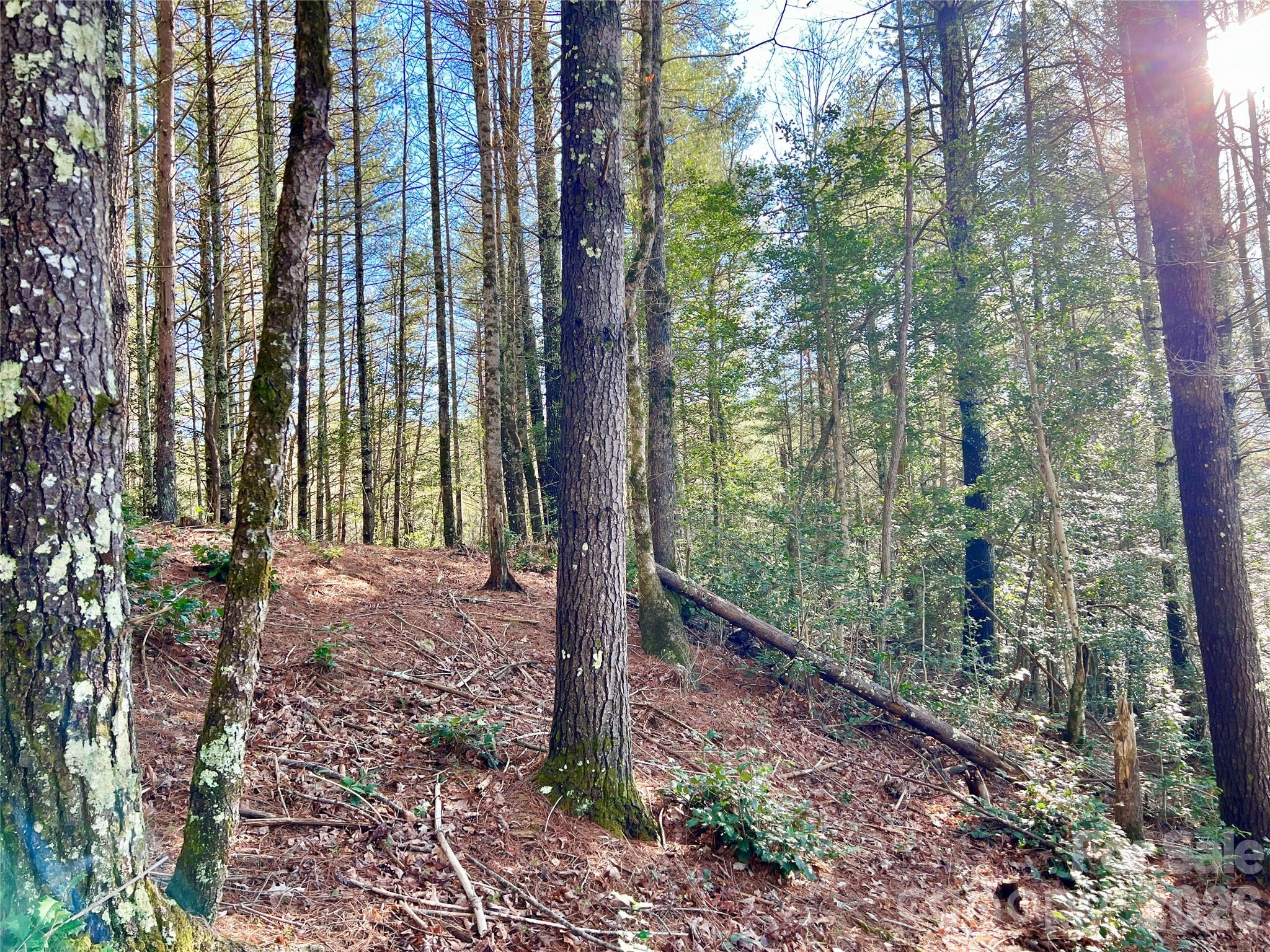 Lot at Lot 126 & Lot 127A Sunset Creek Lane, Lenoir, photo 20 of 48