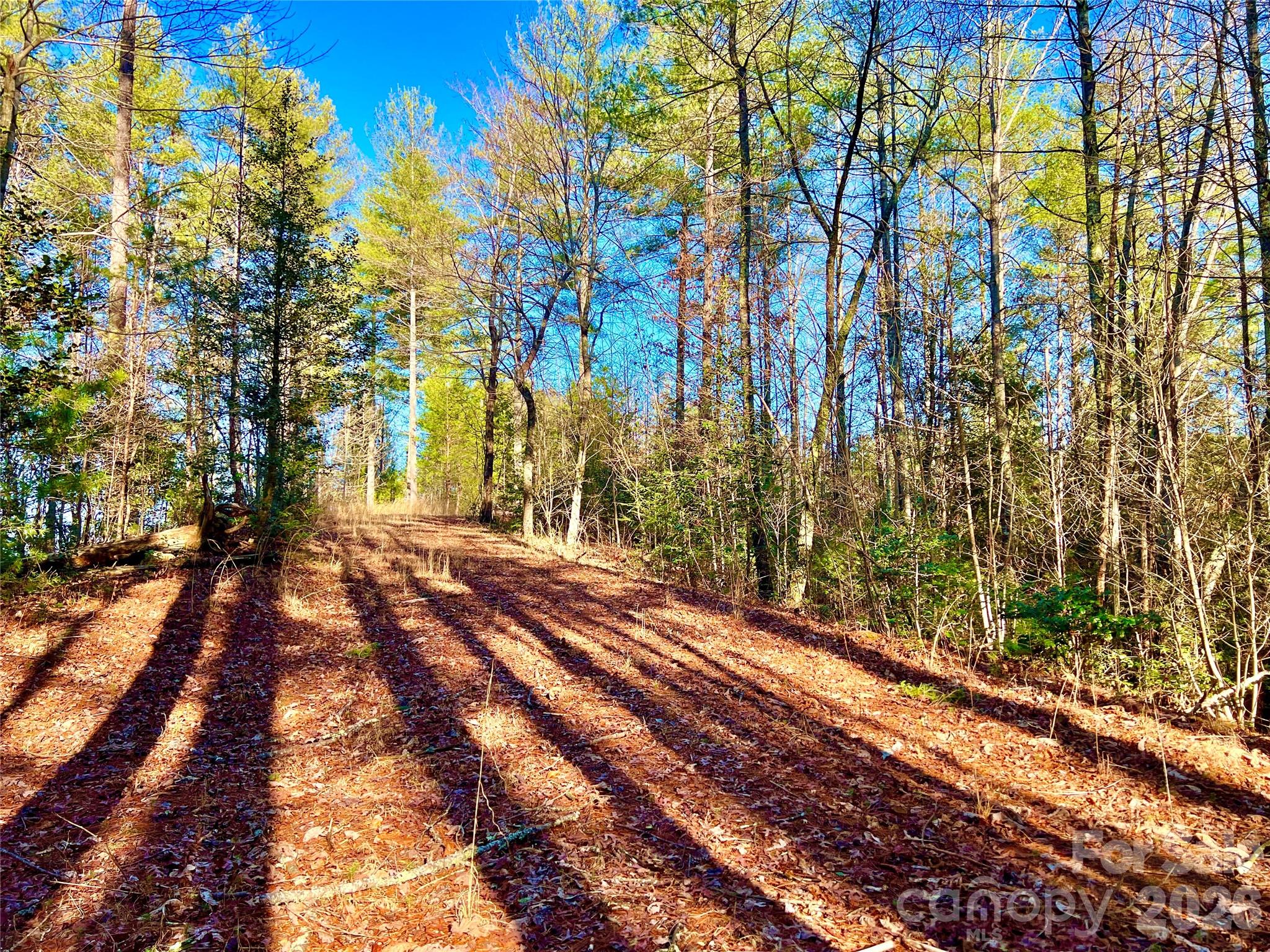 Lot at Lot 126 & Lot 127A Sunset Creek Lane, Lenoir, photo 21 of 48