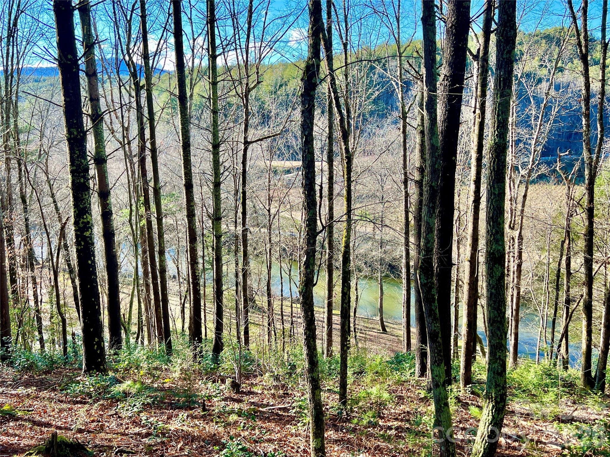 Lot at Lot 126 & Lot 127A Sunset Creek Lane, Lenoir, photo 22 of 48
