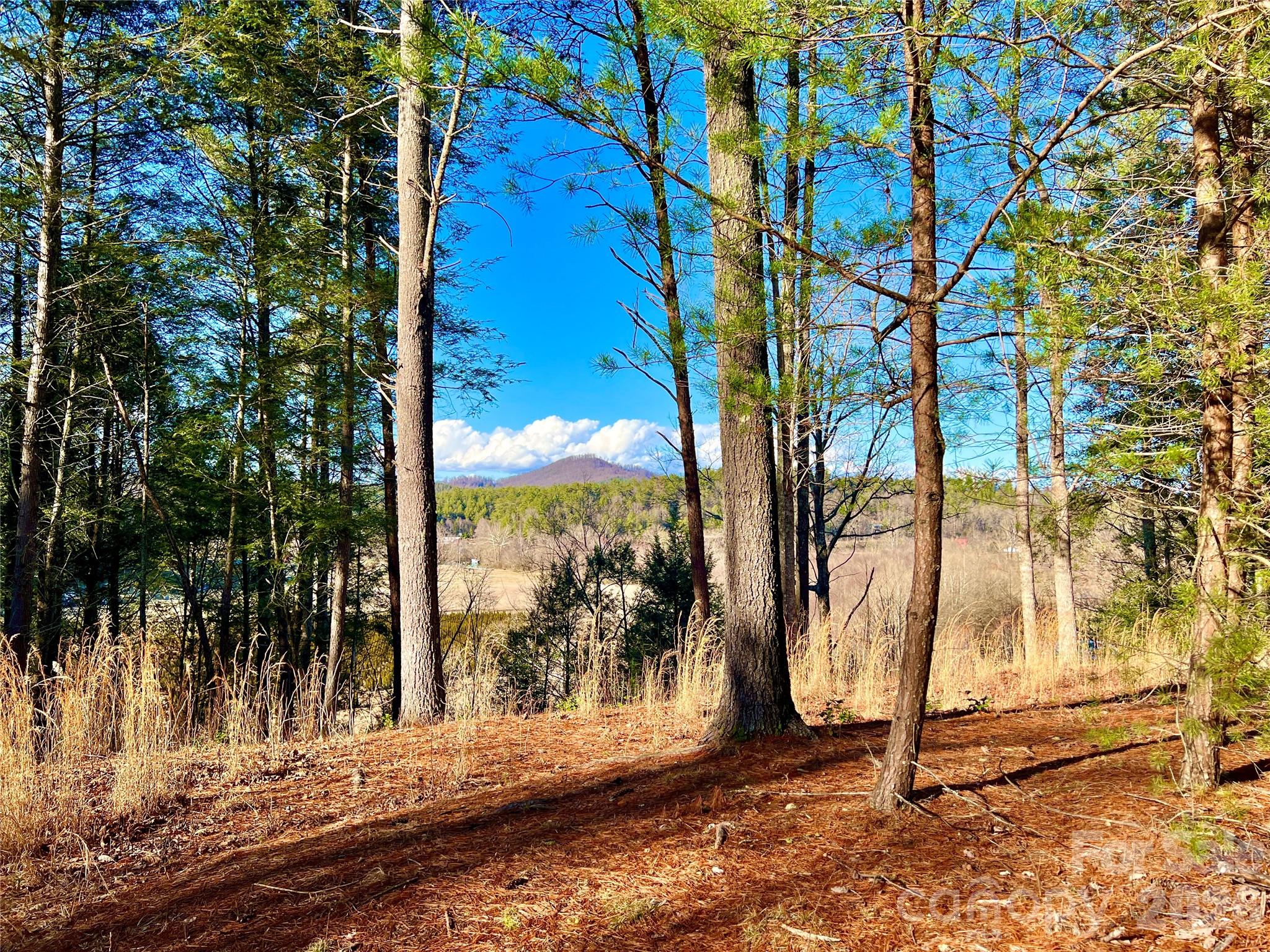 Lot at Lot 126 & Lot 127A Sunset Creek Lane, Lenoir, photo 23 of 48