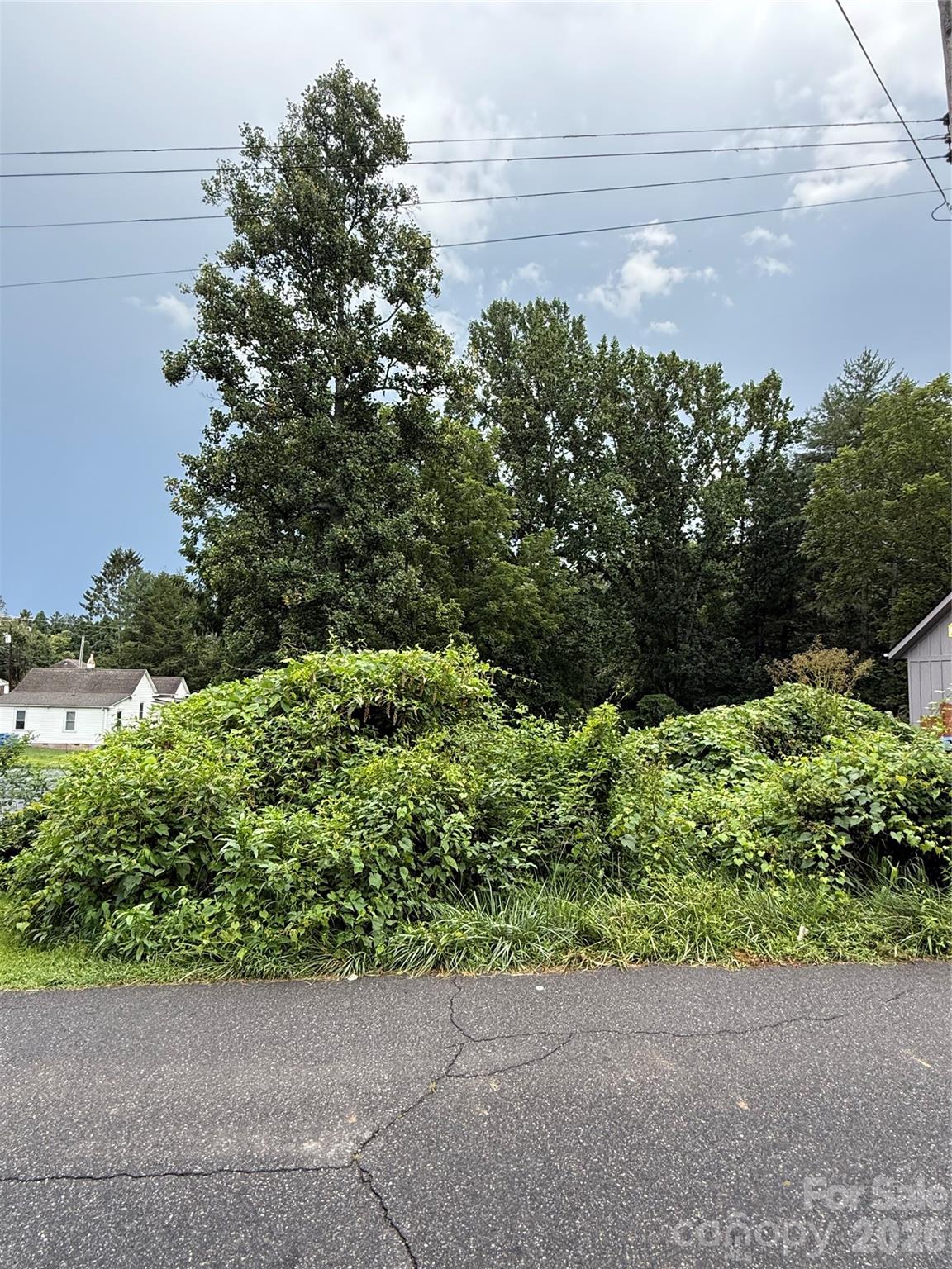00000 Duckworth Avenue