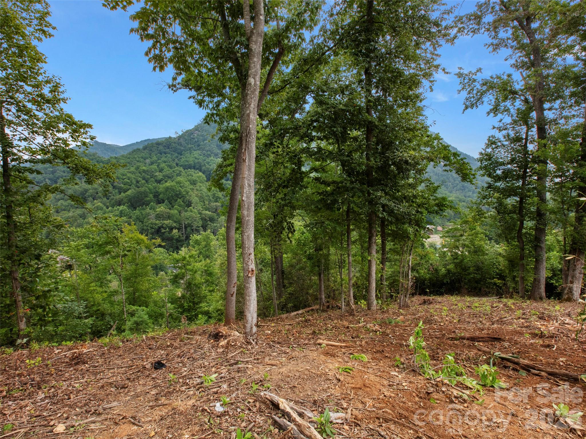 Single Family Residence at 213 Three Rivers Drive, Hendersonville, photo 12 of 24