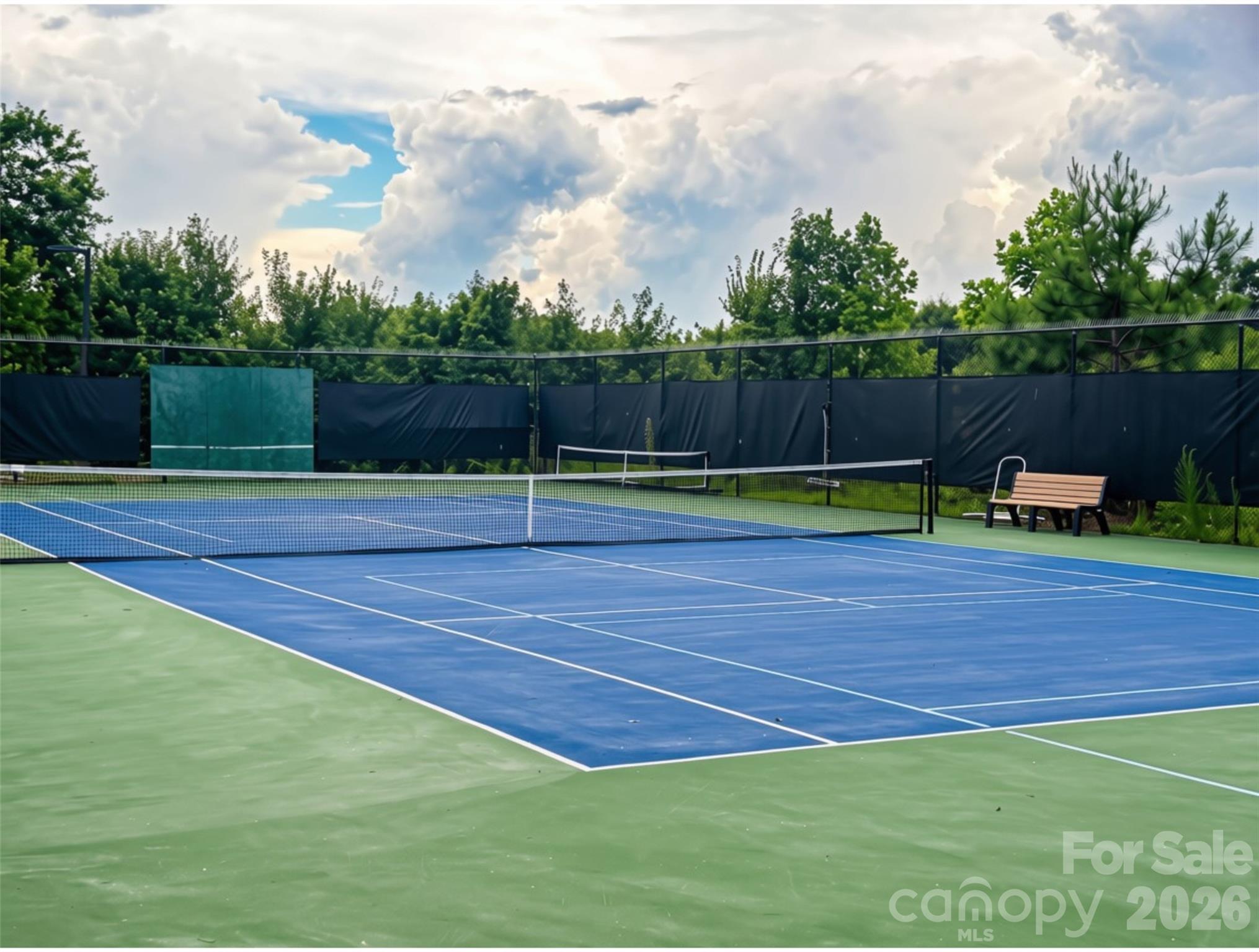 Tennis/Pickleball Courts - 15829 Trenton Place Road, Huntersville