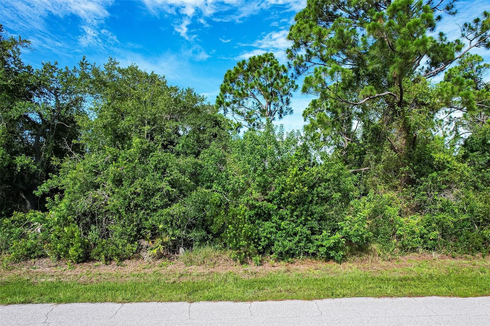 Land at 4161 REYNOLDS LN, PORT CHARLOTTE, photo 3 of 27