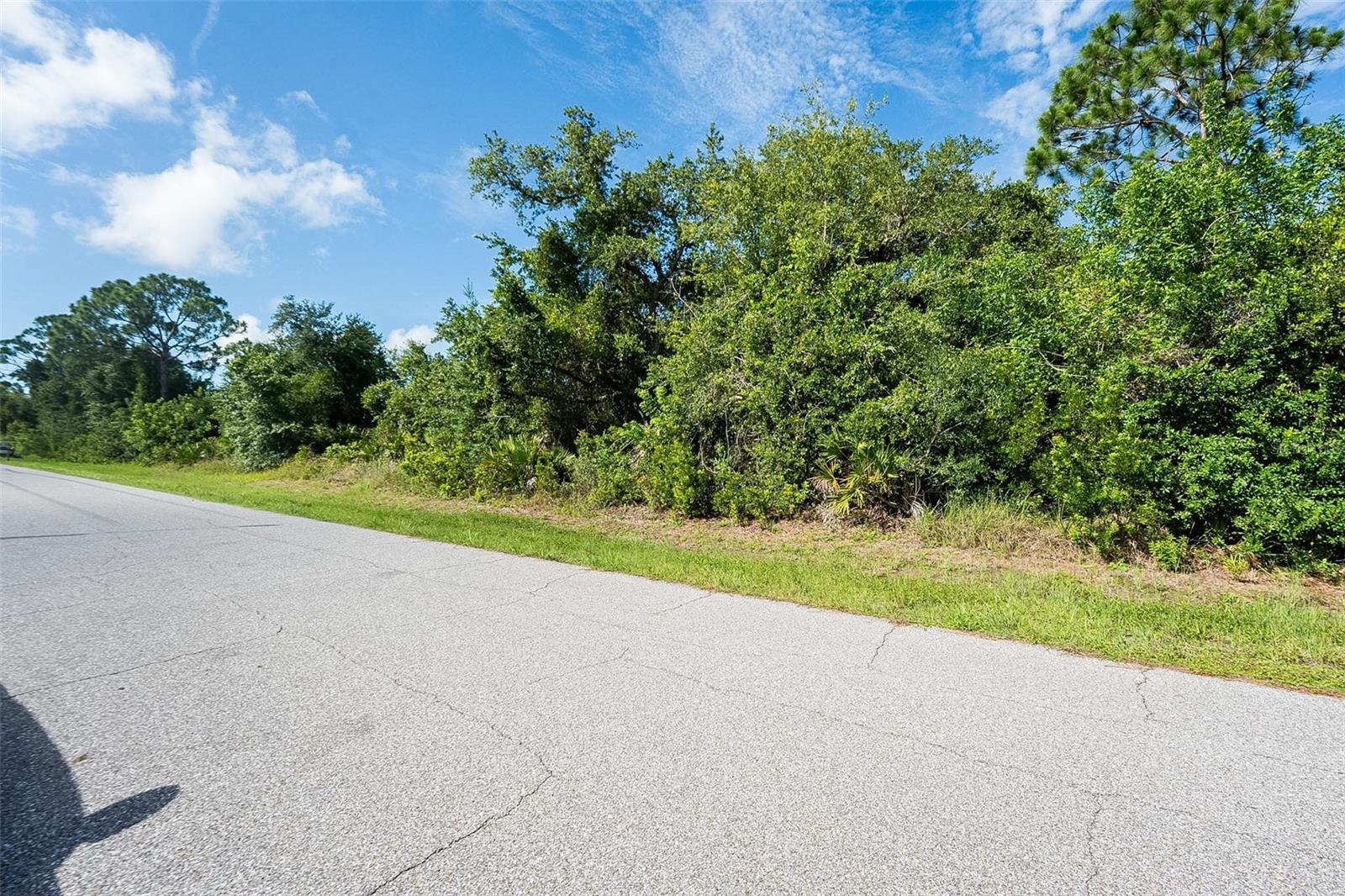 Land at 4161 REYNOLDS LN, PORT CHARLOTTE, photo 4 of 27