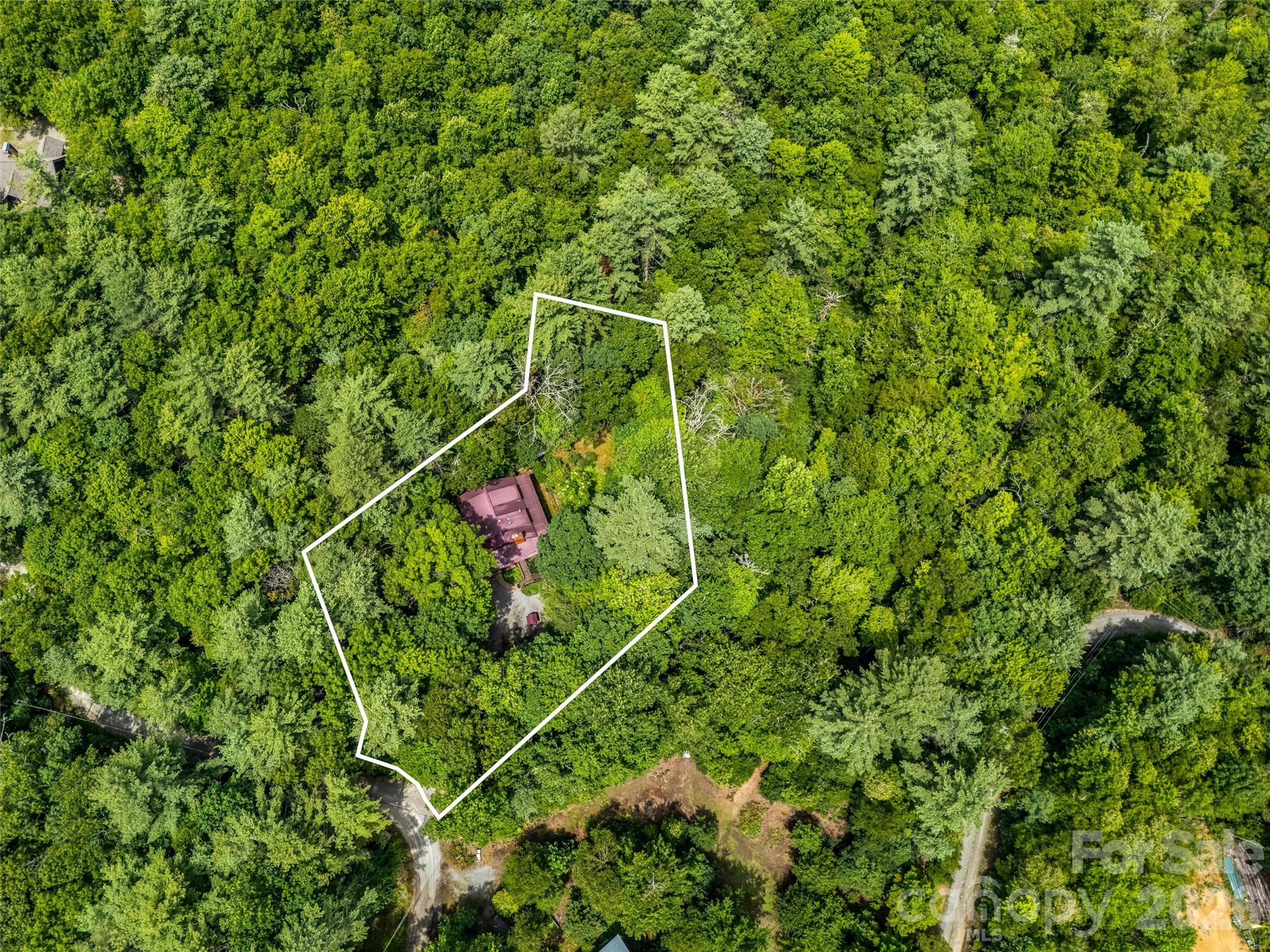 Surrounded by undeveloped parcels for maximum privacy! - 696 Top Of The Mountain Road, Hendersonville