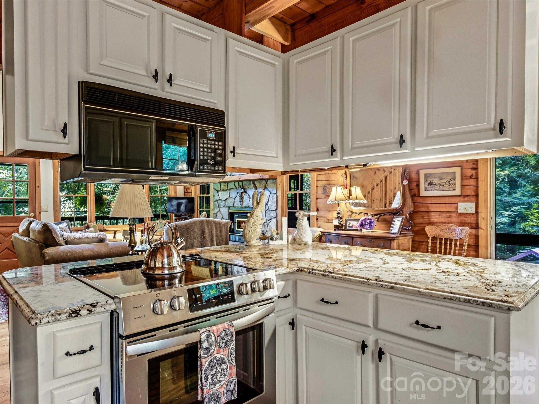 Single Family Residence at 696 Top Of The Mountain Road, Hendersonville, photo 13 of 41