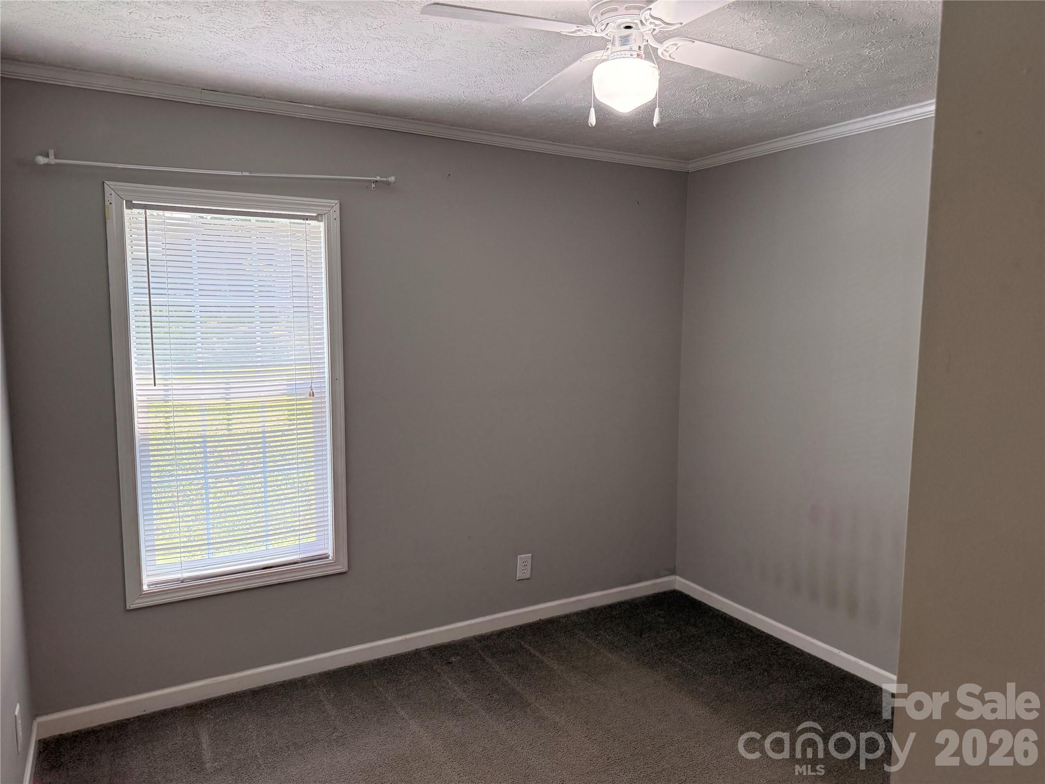 Single Family Residence at 166 Albert Drive, Flat Rock, photo 12 of 19