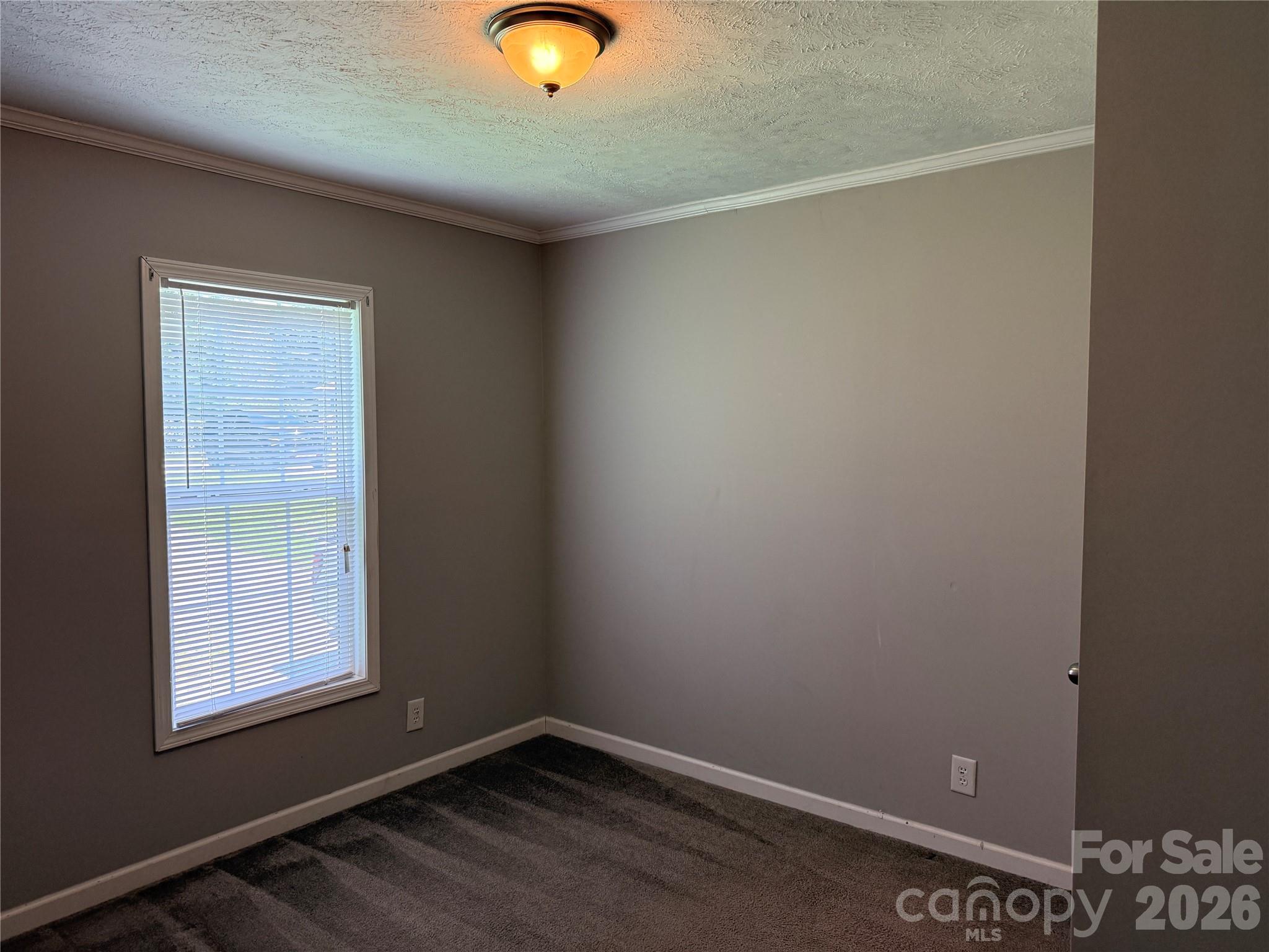 Single Family Residence at 166 Albert Drive, Flat Rock, photo 13 of 19