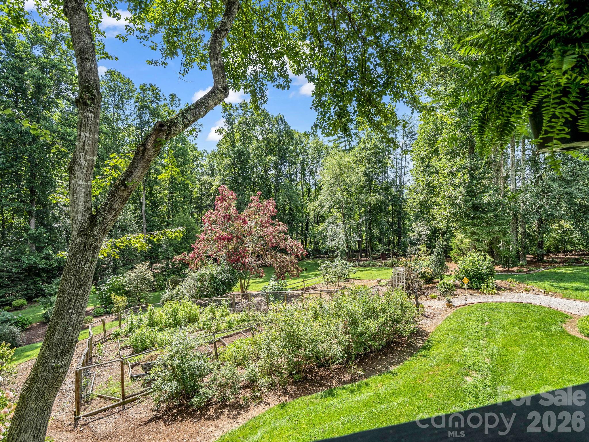 Fenced area for you vegetable planting - 15 Ravenwood Drive, Fletcher