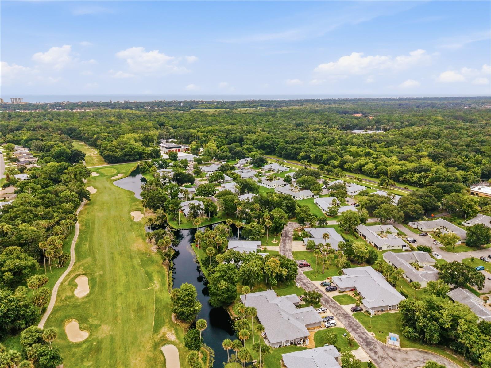 Aerial View - 56 LAKE FOREST PL, PALM COAST