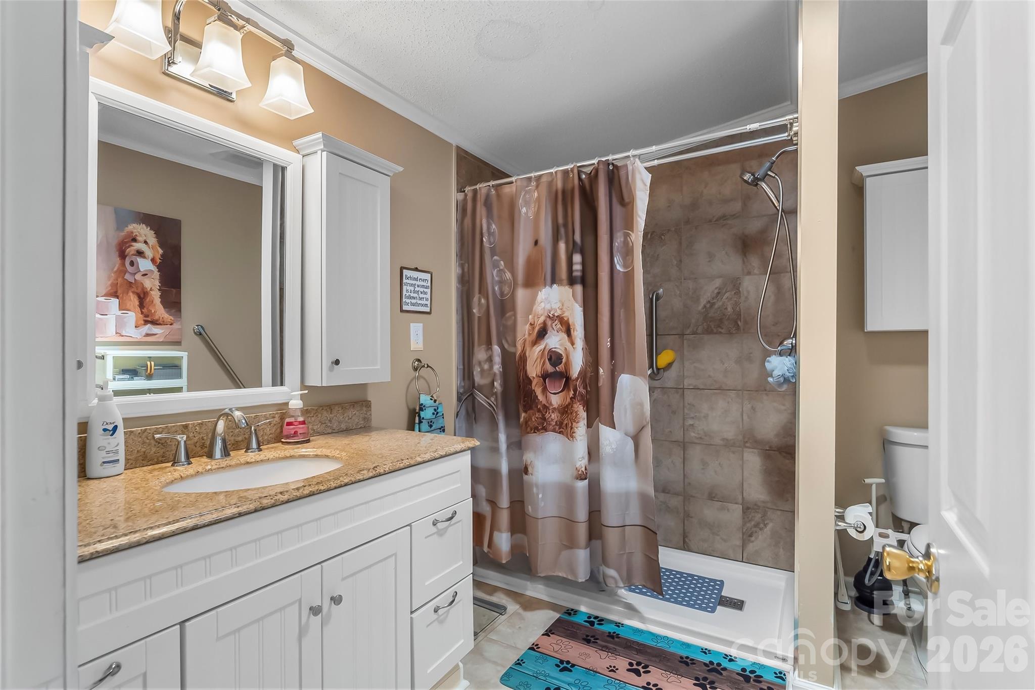Easy step-in shower - 208 Red Birch Court, Hendersonville