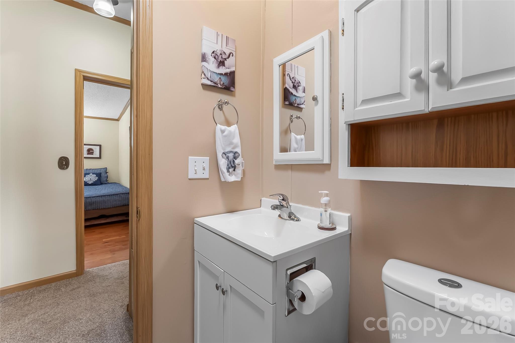Hall Bathroom - 208 Red Birch Court, Hendersonville