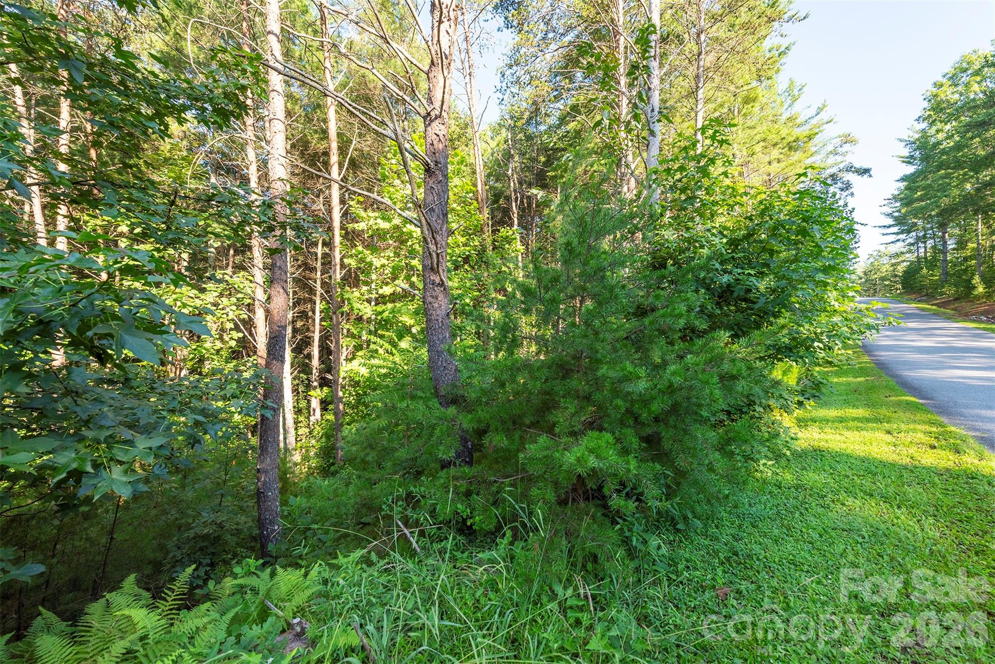 Lot at LOT #86 Crest View Drive, Nebo, photo 13 of 37