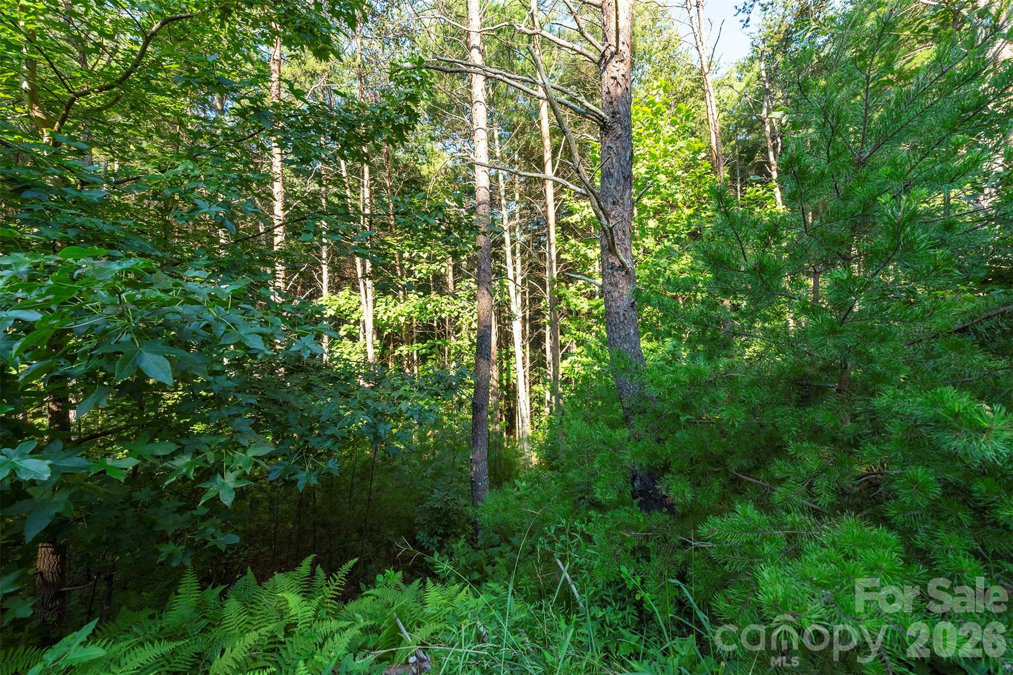 Lot at LOT #86 Crest View Drive, Nebo, photo 14 of 37