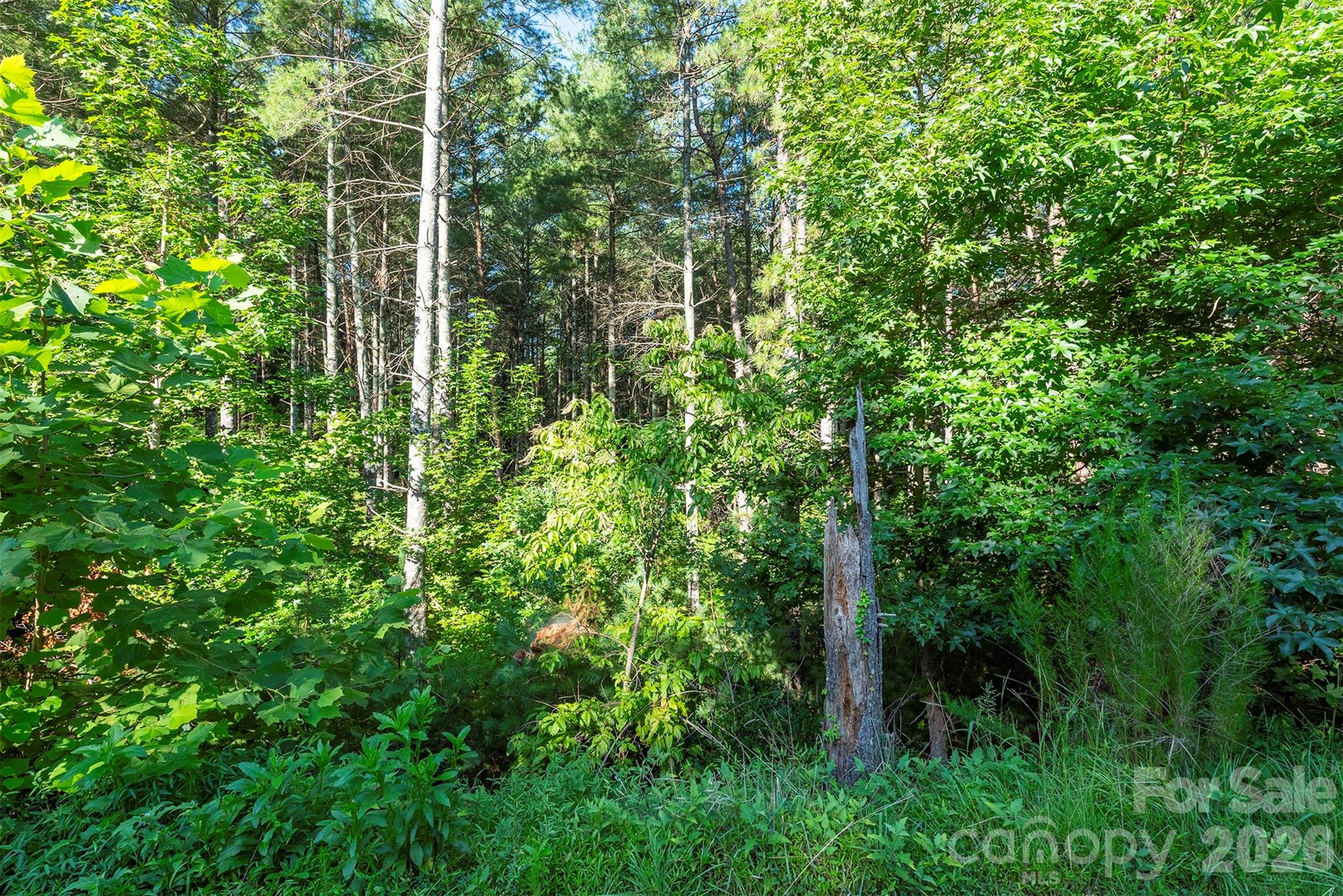 Lot at LOT #86 Crest View Drive, Nebo, photo 17 of 37