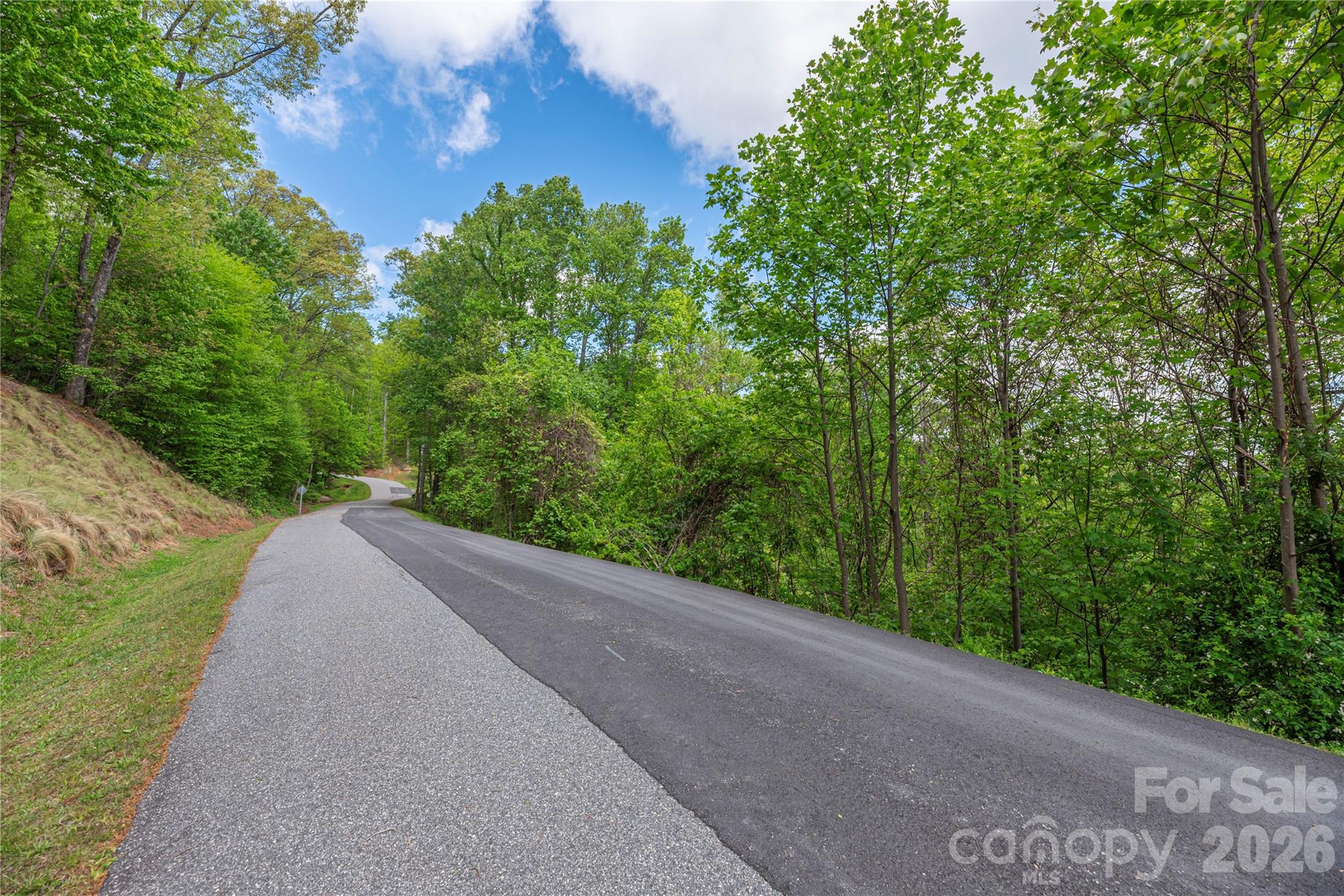 Lot at Lot 4 Mountain Watch Drive, Waynesville, photo 10 of 11