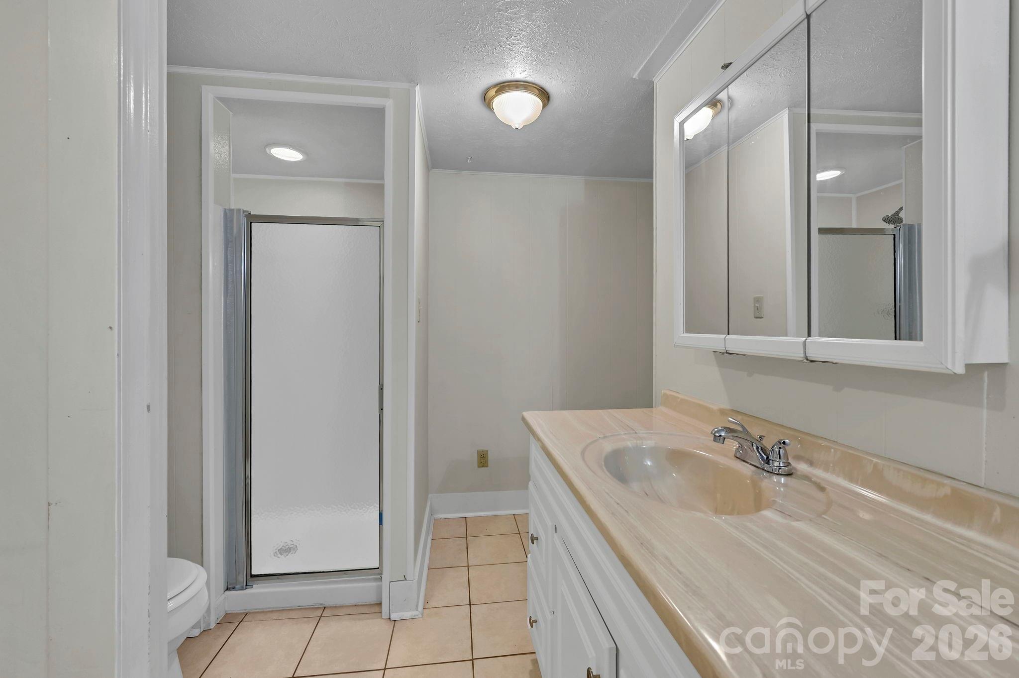downstairs bath - 297 White Pine Drive, Asheville