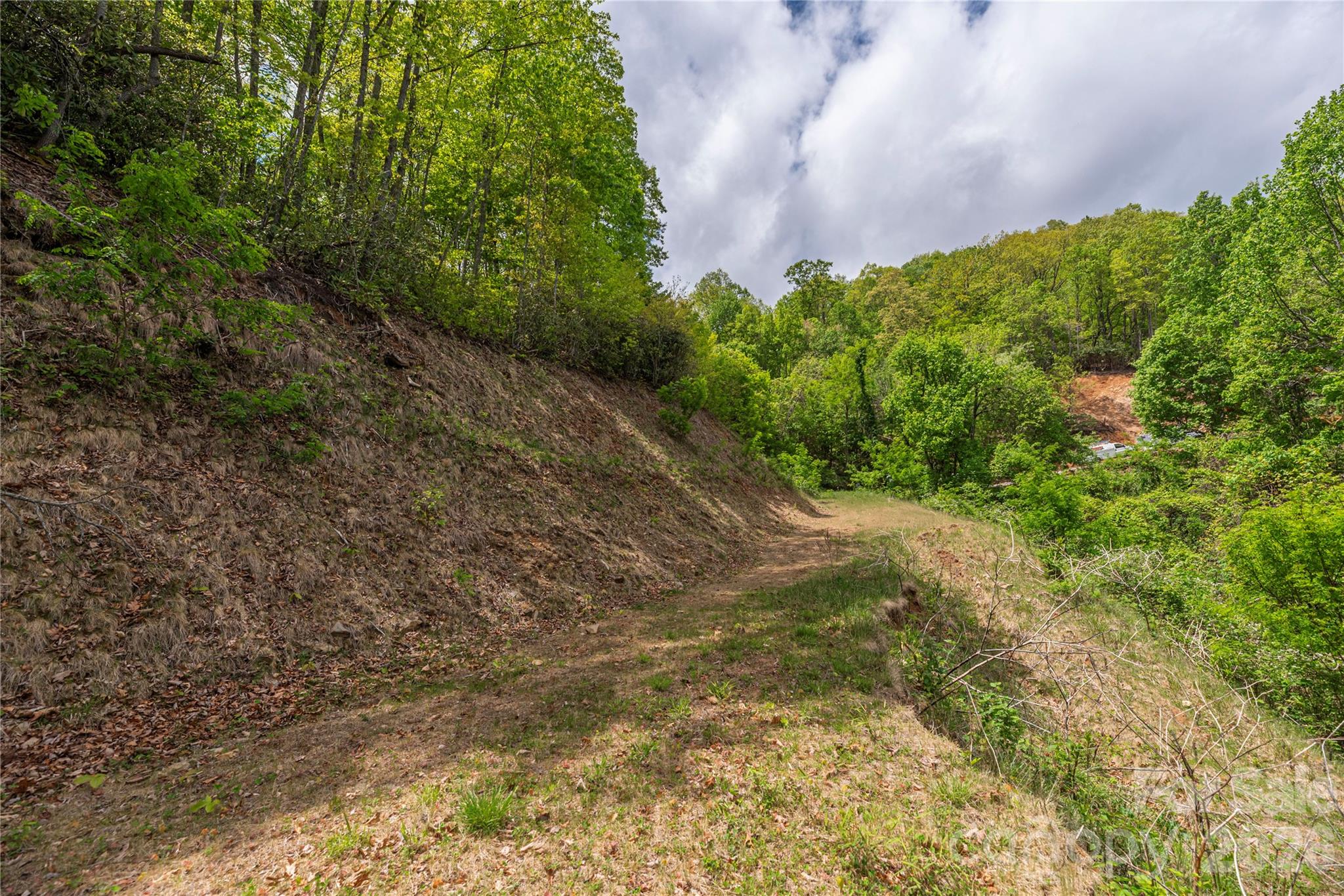 Lot at 391 Valley View Drive, Maggie Valley, photo 8 of 13