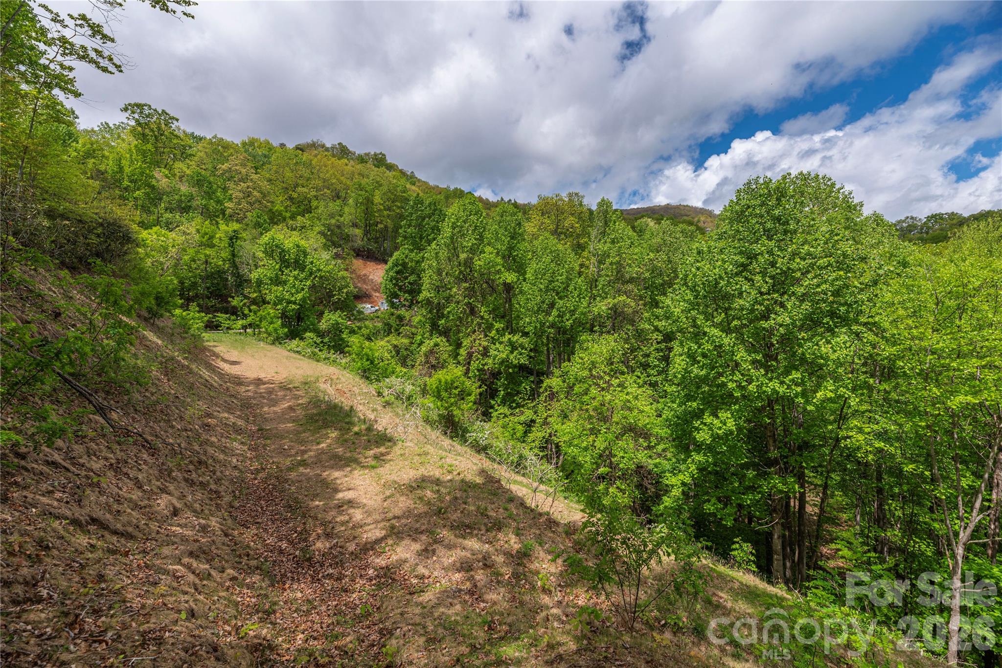 Lot at 391 Valley View Drive, Maggie Valley, photo 9 of 13