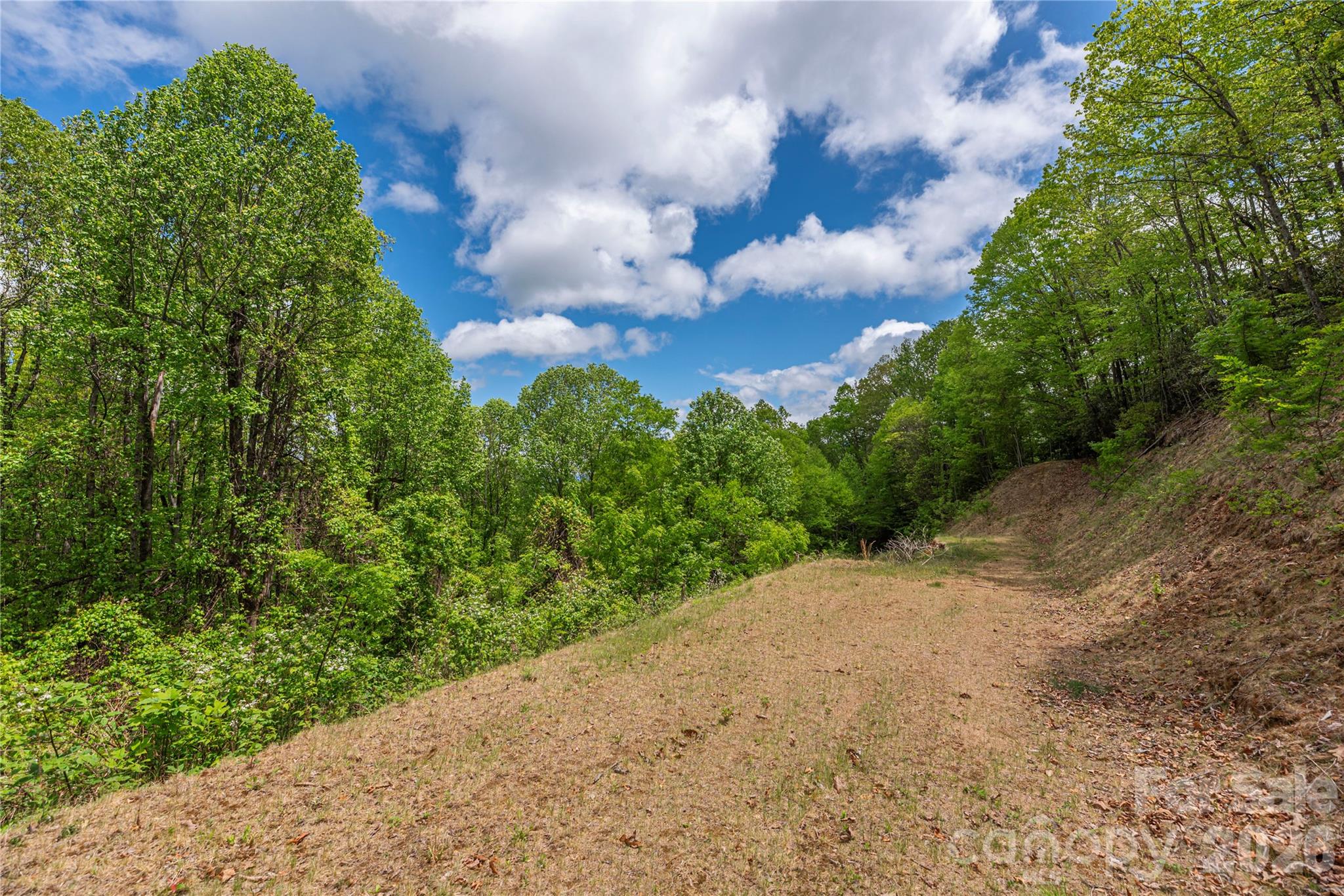 Lot at 391 Valley View Drive, Maggie Valley, photo 10 of 13