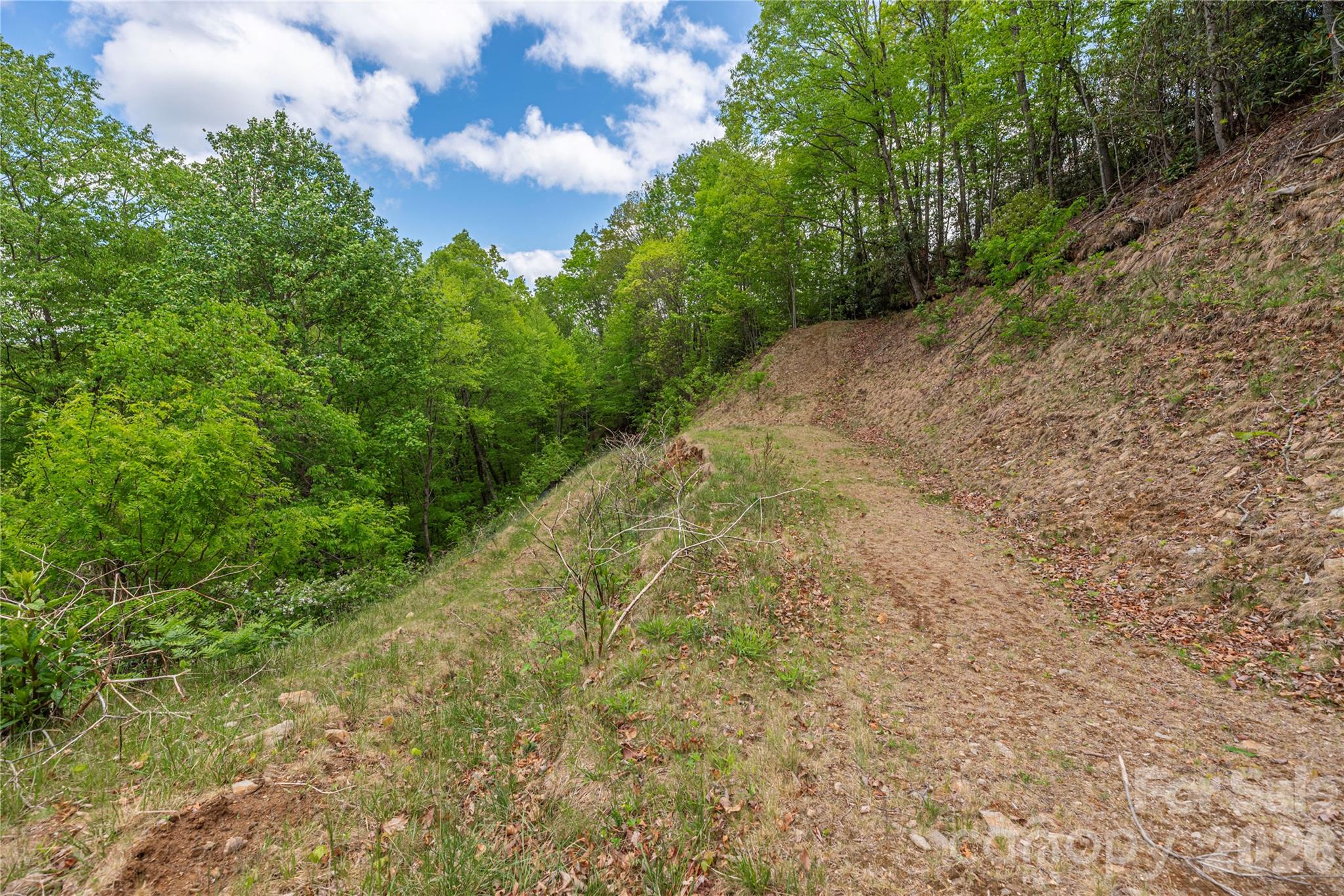 Lot at 391 Valley View Drive, Maggie Valley, photo 11 of 13