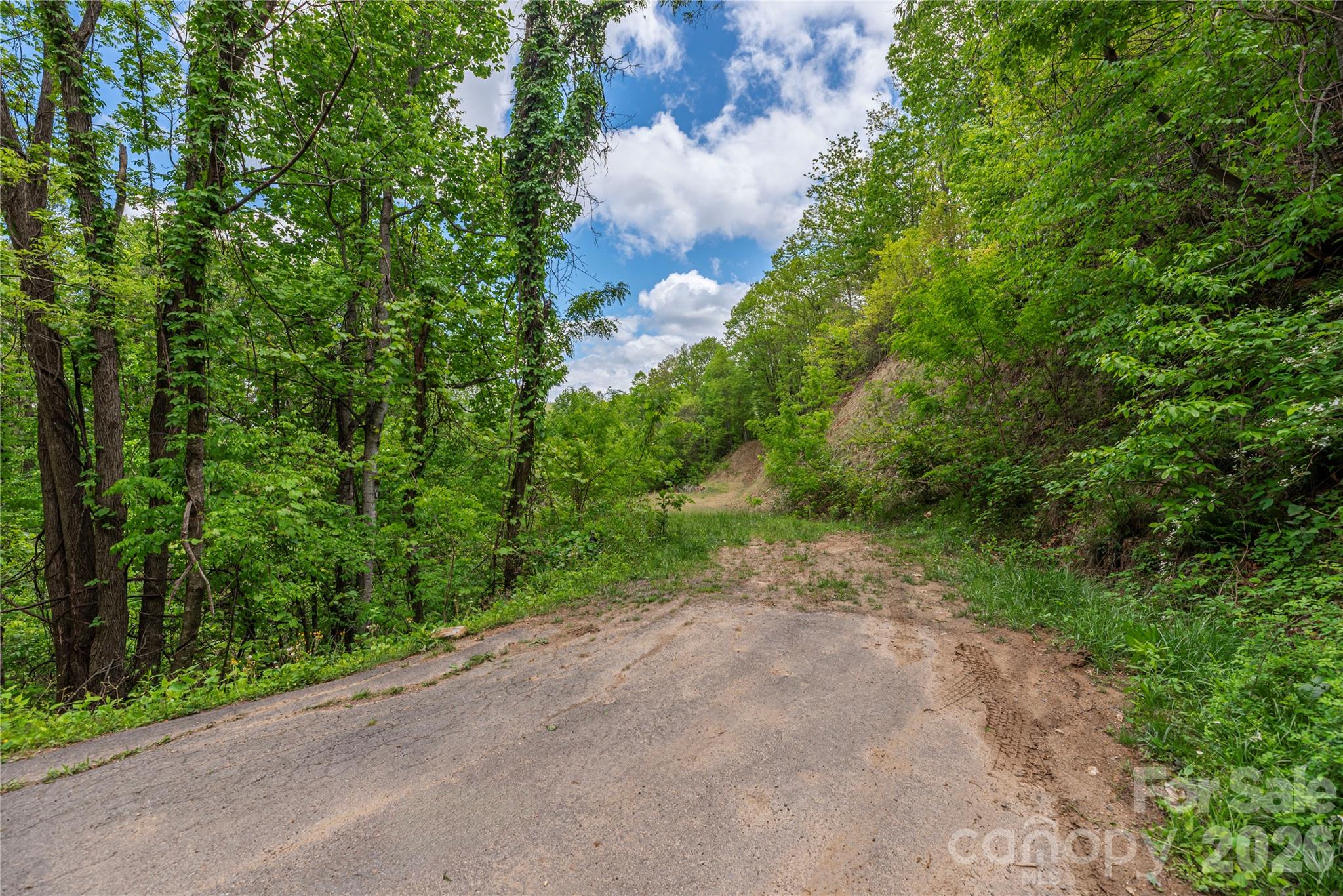 Lot at 391 Valley View Drive, Maggie Valley, photo 12 of 13
