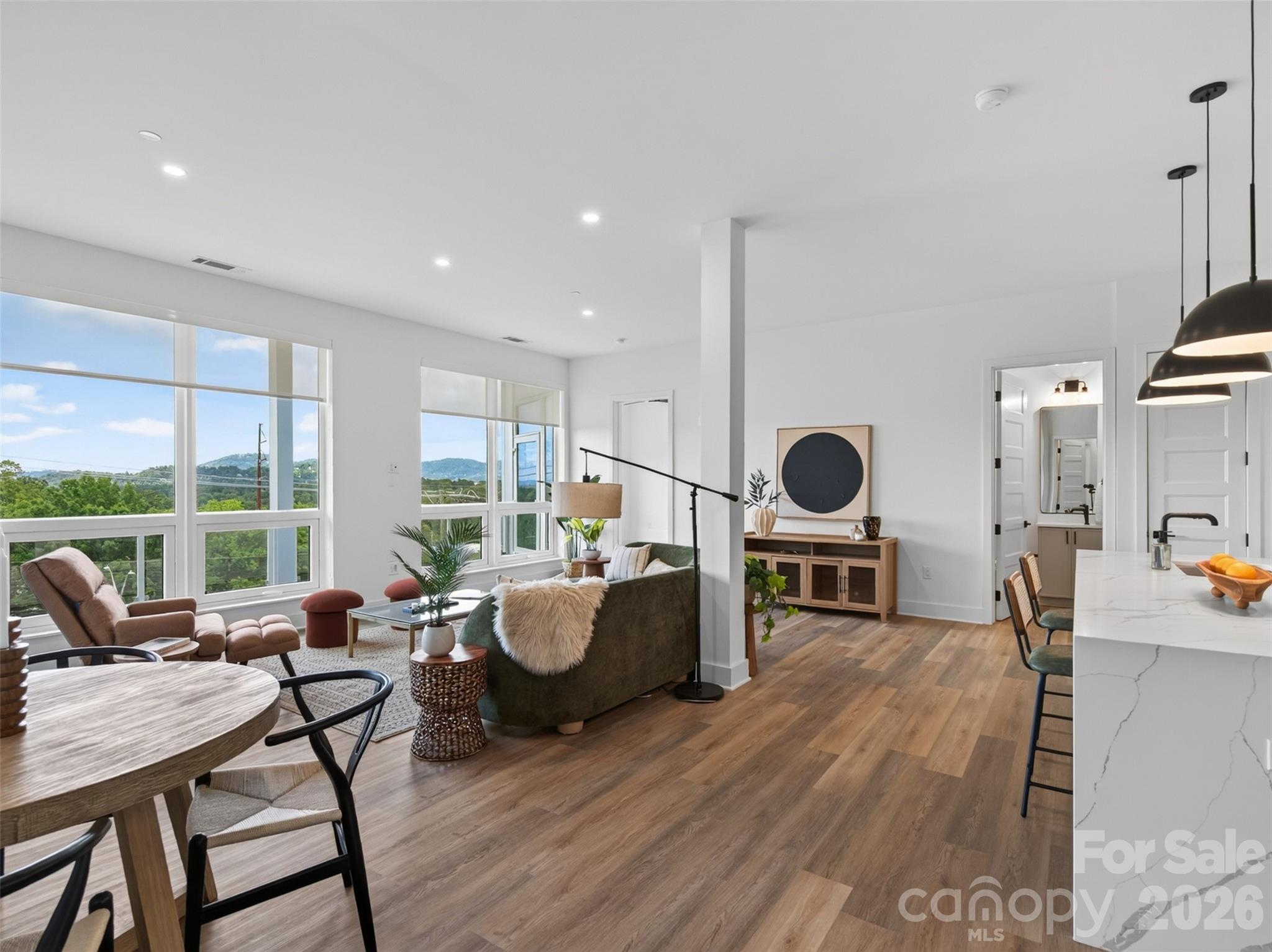 Condominium at 123 Haywood Street, Asheville, photo 14 of 42