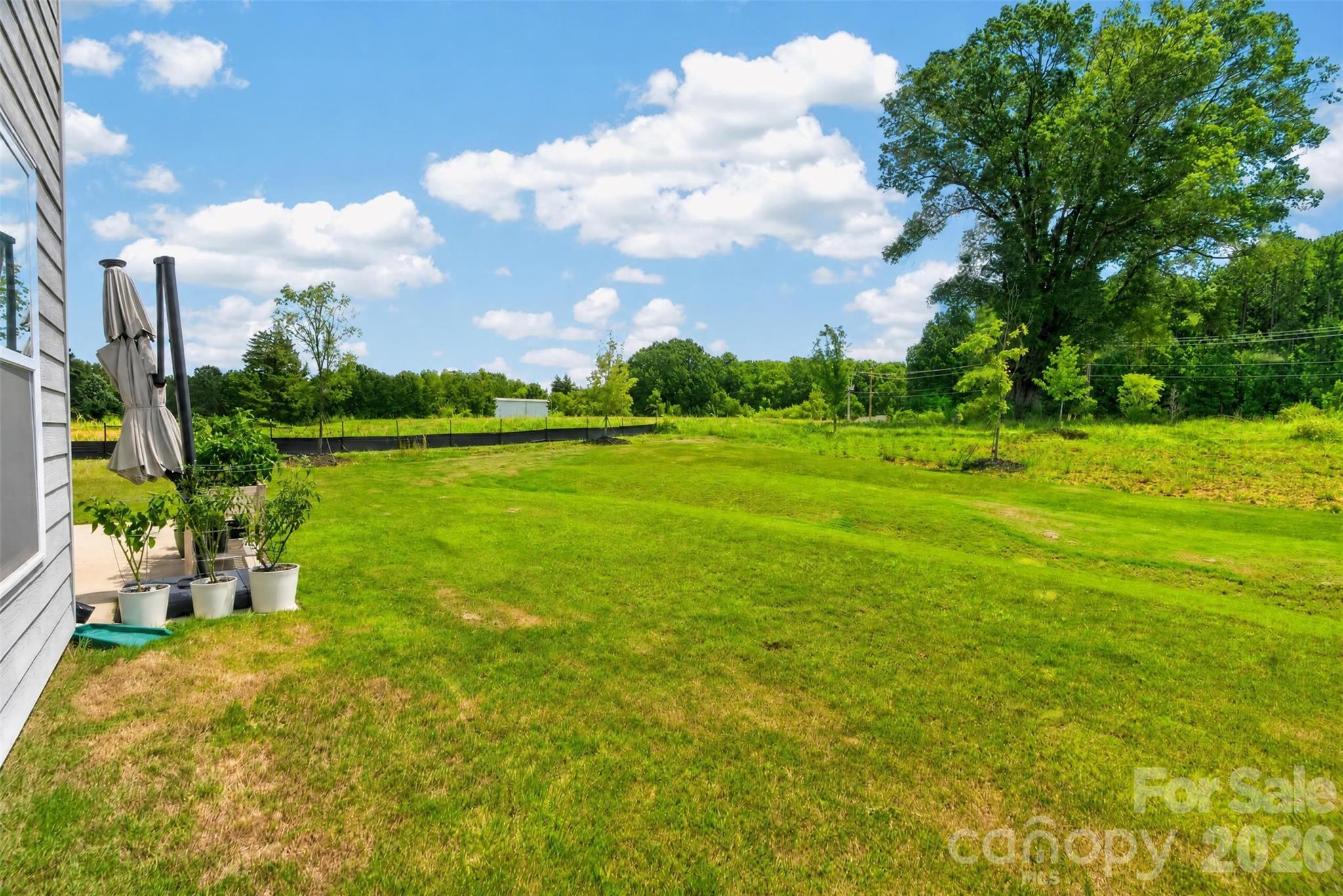 Rear yard - 14103 Belmont Greene Drive, Charlotte