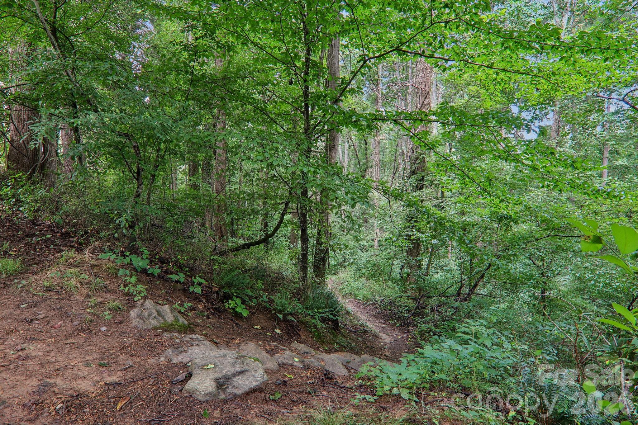 walking trails - 100 Vista Lake Drive, Candler